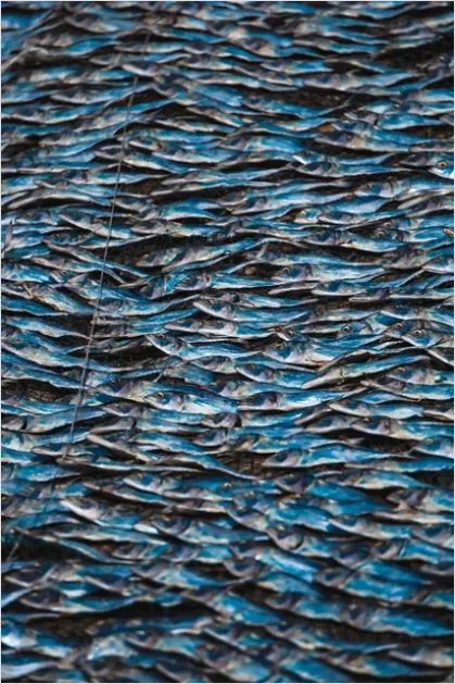 Detail Scales Pattern Background Fish Scale Number 11