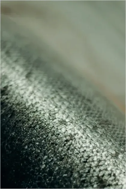Detail Scales Pattern Background Fish Scale Number 4
