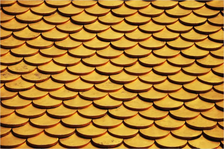 Detail Scales Pattern Background Fish Scale Number 5