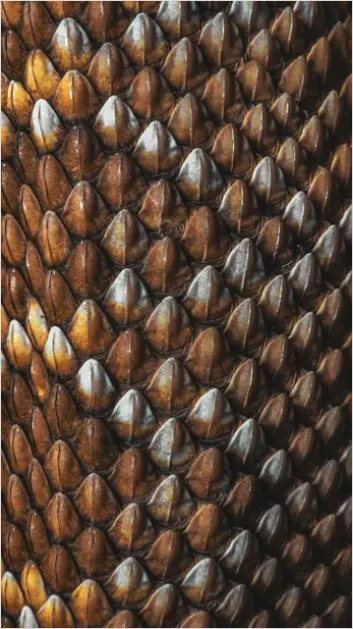Detail Scales Pattern Background Fish Scale Number 7
