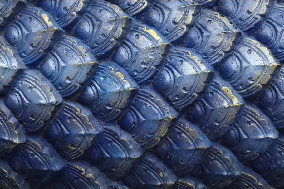 Detail Scales Pattern Background Fish Scale Number 10