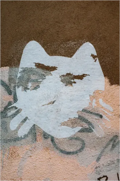 Detail Stencil Street Art Wall Close Up Number 5