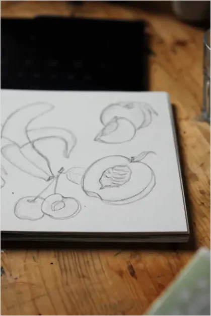 Detail Still Life Drawing Fruit In Bowl Number 3