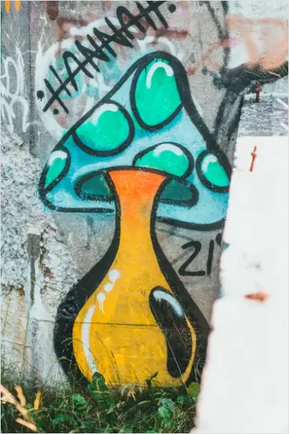 Detail Street Art Graffiti Mural Wall Photo Number 7