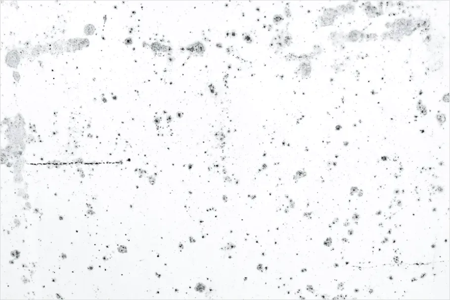 Detail Terrazzo Texture Background Modern Speckled Number 14
