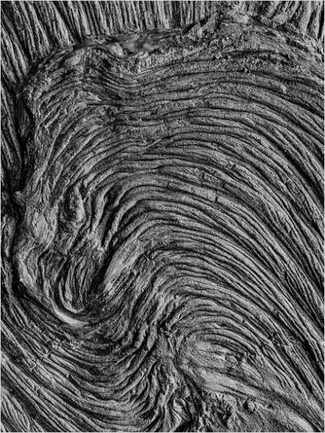 Detail Topographic Contour Lines Background Pattern Number 15