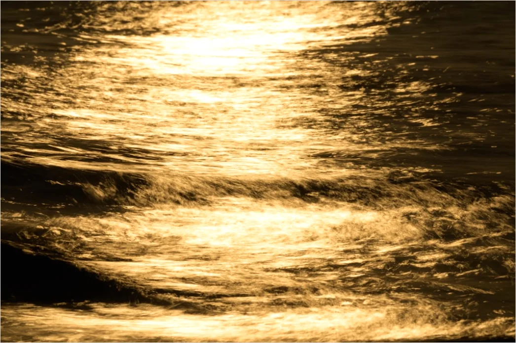 Detail Ultrasound Probe Gel Close Up Number 8