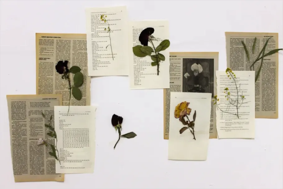 Detail Vintage Botanical Illustration Page Scan Number 7