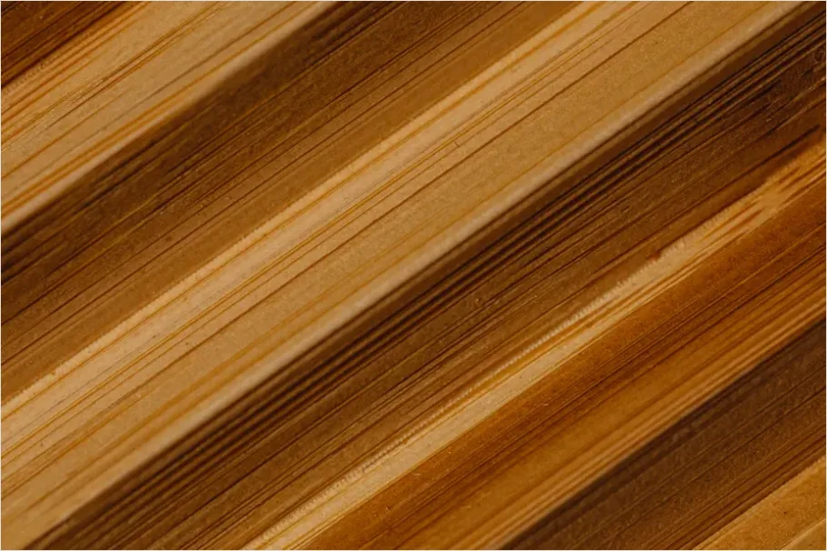 Detail Walnut Wood Texture Background Close Up Number 11