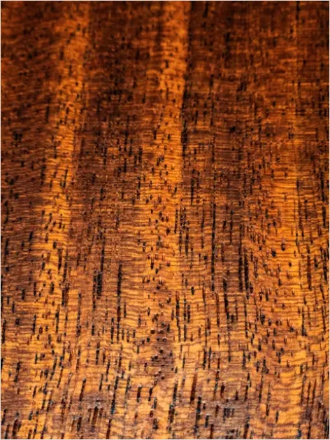 Detail Walnut Wood Texture Background Close Up Number 6