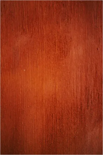 Detail Walnut Wood Texture Background Close Up Number 8