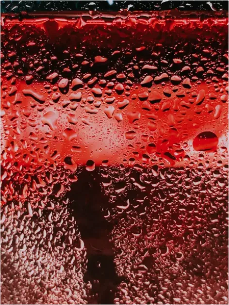 Detail Water Droplets On Glass Background Number 11