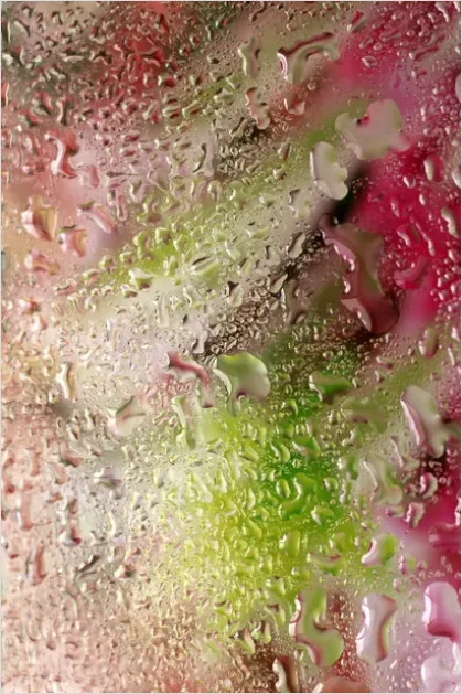 Detail Water Droplets On Glass Background Number 14