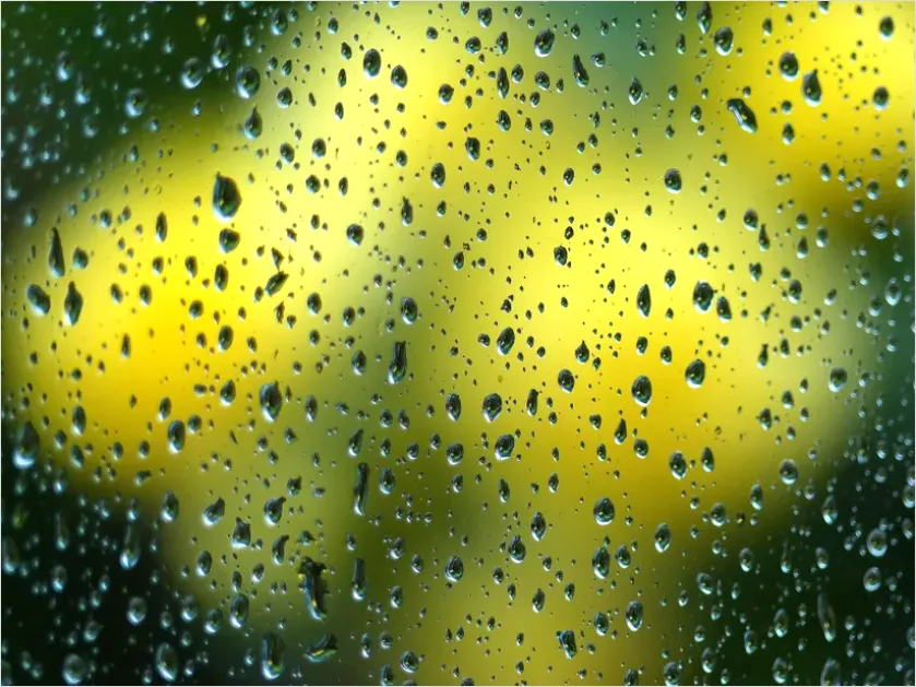 Detail Water Droplets On Glass Background Number 7