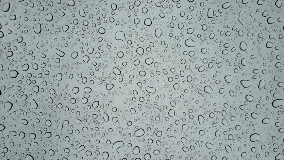 Detail Water Droplets On Glass Background Number 8