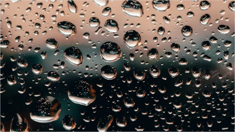 Detail Water Droplets On Glass Background Number 10