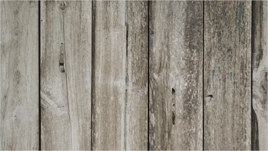 Detail Weathered Wood Plank Texture Background Number 14