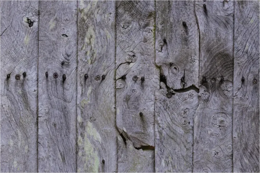 Detail Weathered Wood Plank Texture Background Number 6