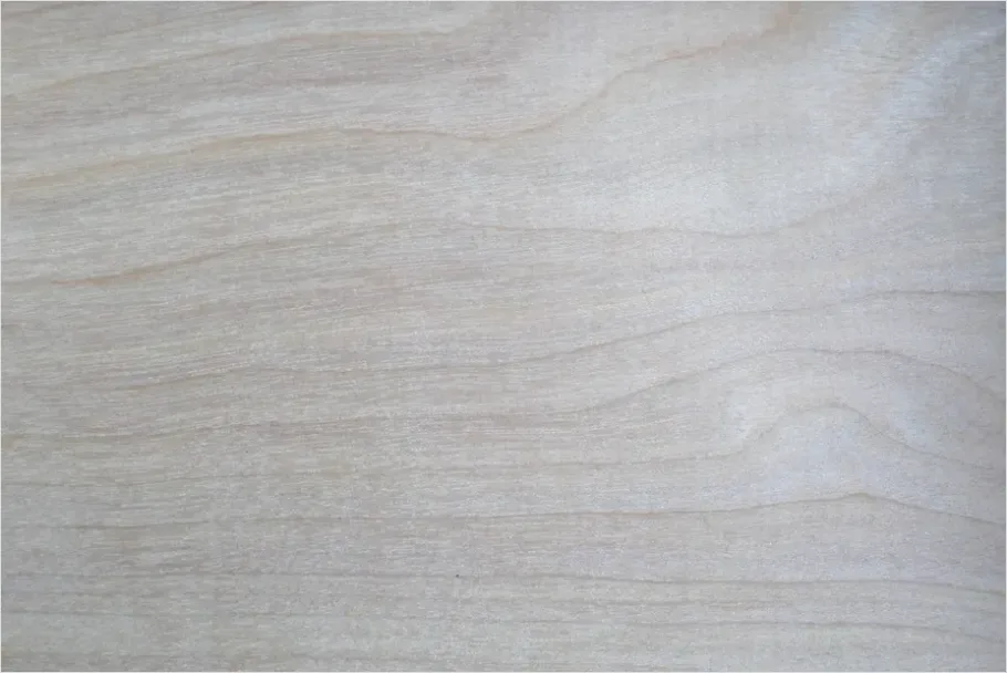 Detail White Wood Texture Background Rustic Number 6
