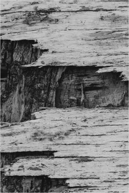 Detail White Wood Texture Background Rustic Number 10