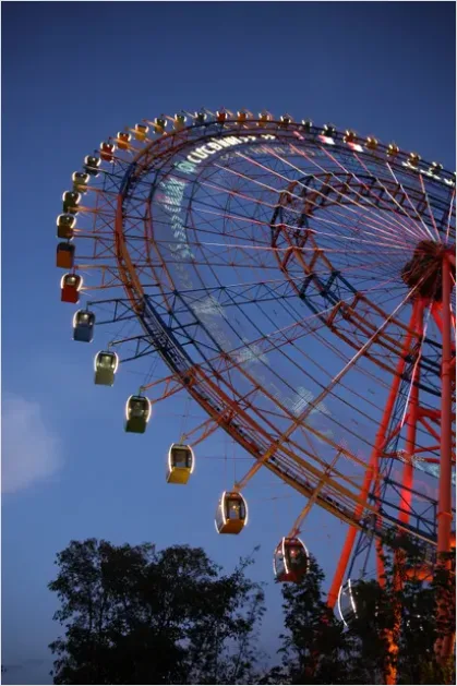 Detail Amusement Park Ferris Wheel Night Photo Number 14
