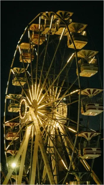 Detail Amusement Park Ferris Wheel Night Photo Number 5