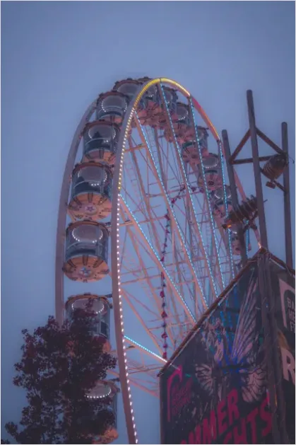 Detail Amusement Park Ferris Wheel Night Photo Number 8