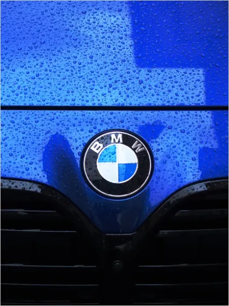 Detail Automotive Paint Gloss Close Up Number 11