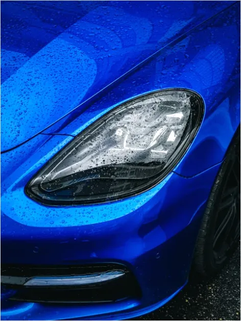 Detail Automotive Paint Gloss Close Up Number 10