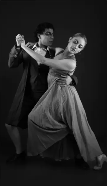 Detail Ballroom Dancers Elegant Pose Photo Number 14