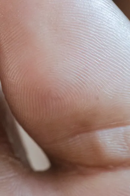Detail Biometric Fingerprint Scanner Close Up Device Number 11