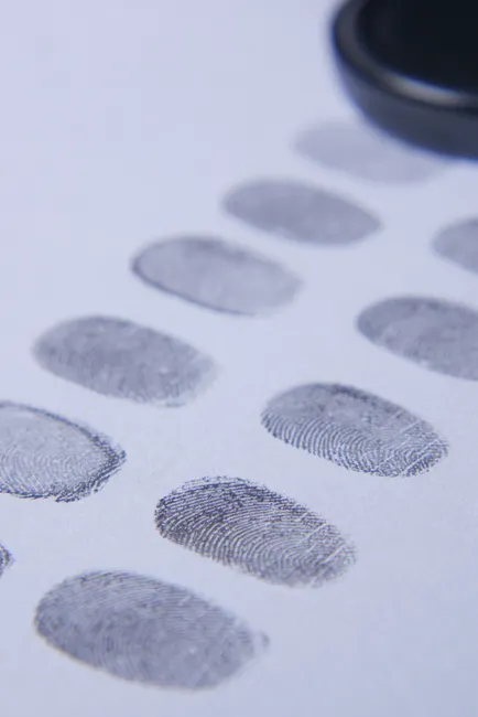 Detail Biometric Fingerprint Scanner Close Up Device Number 12