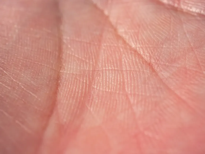 Detail Biometric Fingerprint Scanner Close Up Device Number 13