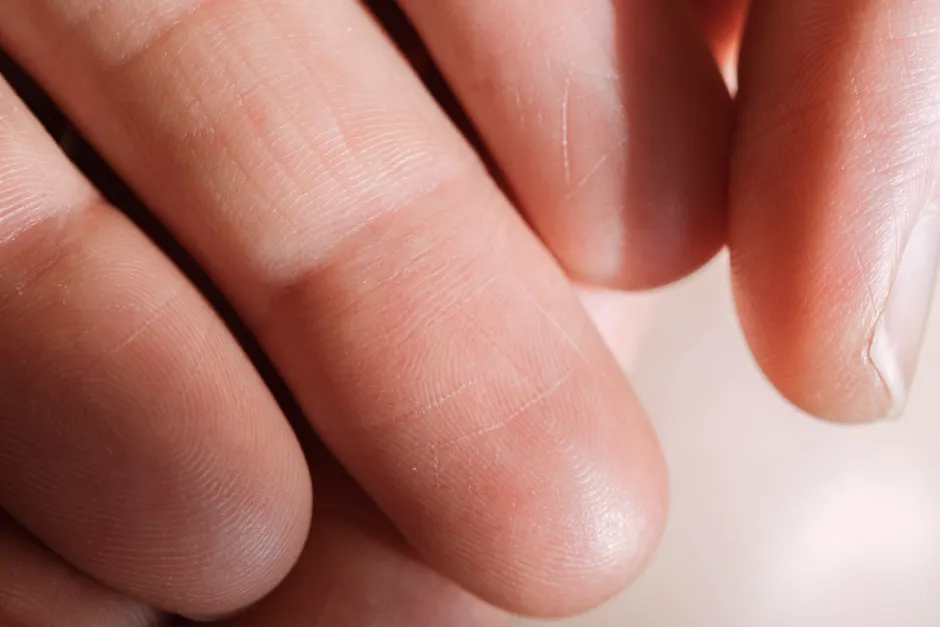 Detail Biometric Fingerprint Scanner Close Up Device Number 14