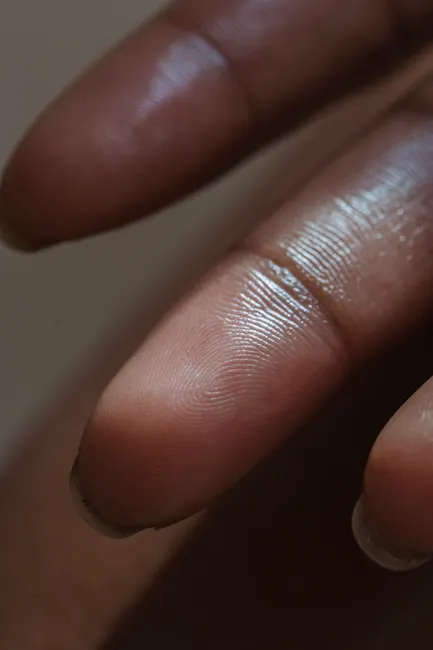 Detail Biometric Fingerprint Scanner Close Up Device Number 15