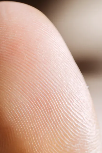 Detail Biometric Fingerprint Scanner Close Up Device Number 6