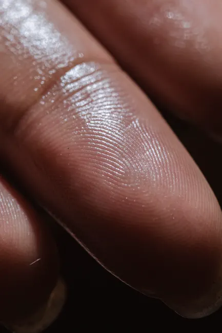 Detail Biometric Fingerprint Scanner Close Up Device Number 7