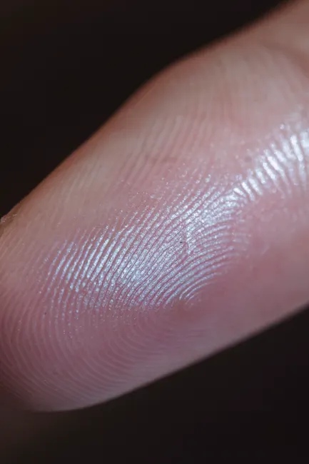 Detail Biometric Fingerprint Scanner Close Up Device Number 8