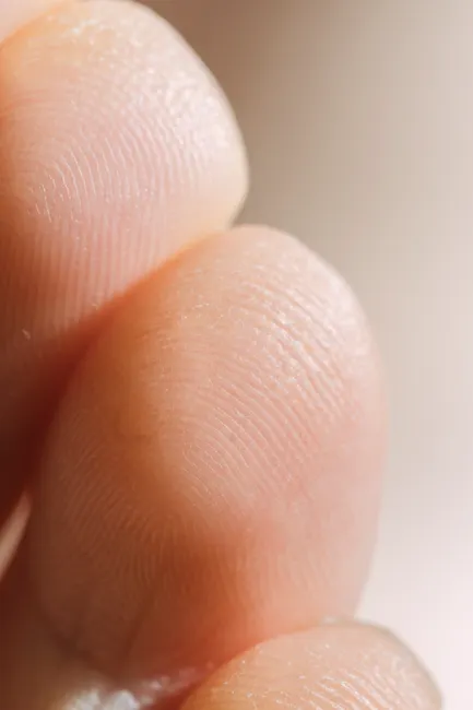 Detail Biometric Fingerprint Scanner Close Up Device Number 9