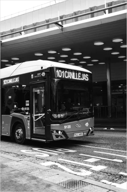 Detail Bus City Public Transport Photo Number 5