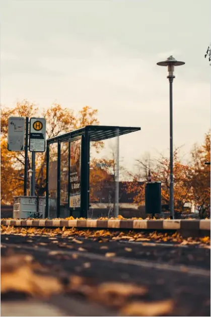 Detail Bus Stop Shelter Urban Photo Number 11