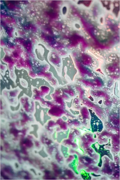 Car Wash Foam Bubbles Photo 6b66