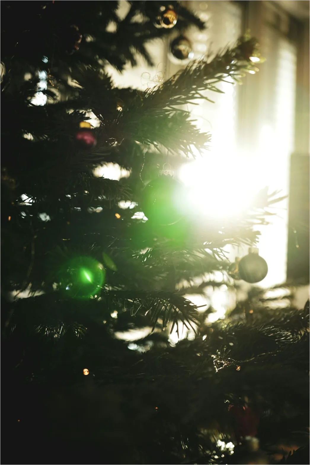 Detail Christmas Tree Decorating Family Living Room Number 5