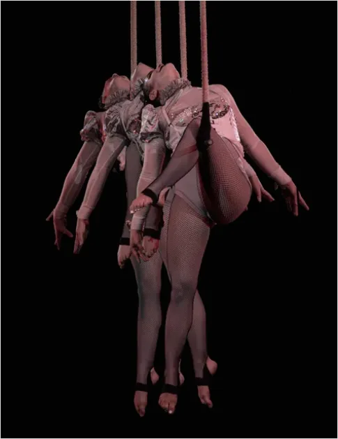 Detail Circus Aerial Acrobat Performance Photo Number 2