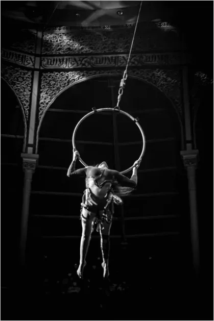 Detail Circus Aerial Acrobat Performance Photo Number 13