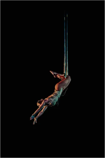 Detail Circus Aerial Acrobat Performance Photo Number 14