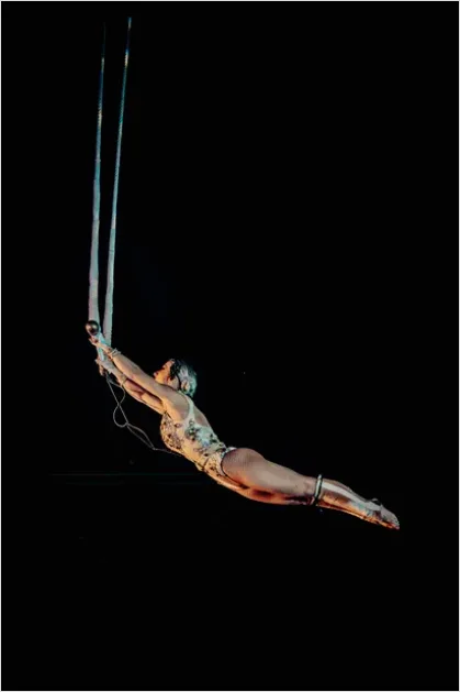 Detail Circus Aerial Acrobat Performance Photo Number 3