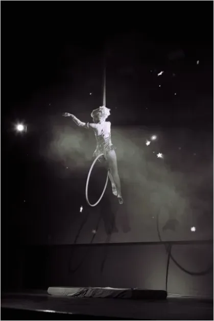 Detail Circus Aerial Acrobat Performance Photo Number 4
