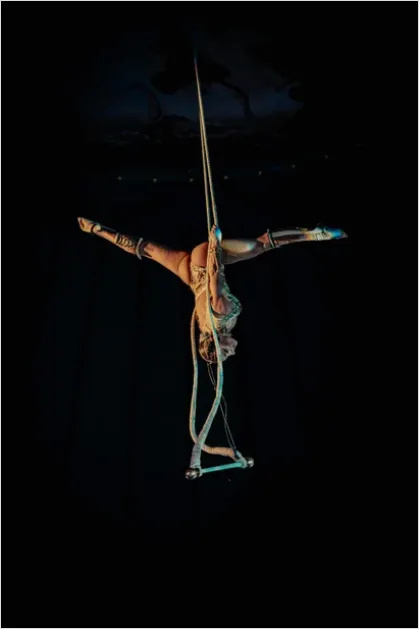 Detail Circus Aerial Acrobat Performance Photo Number 5