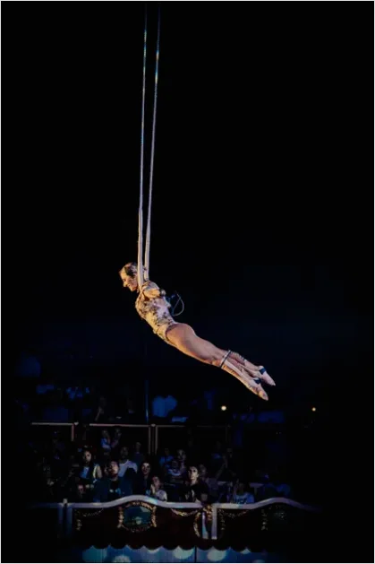 Detail Circus Aerial Acrobat Performance Photo Number 6